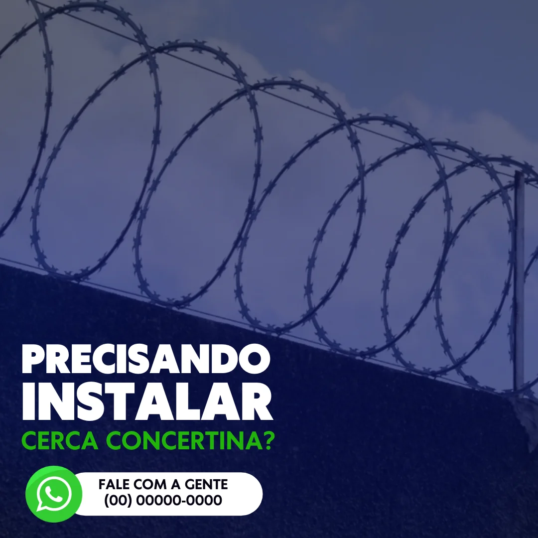 05-CERCA-CONCERTINA.png-1.webp